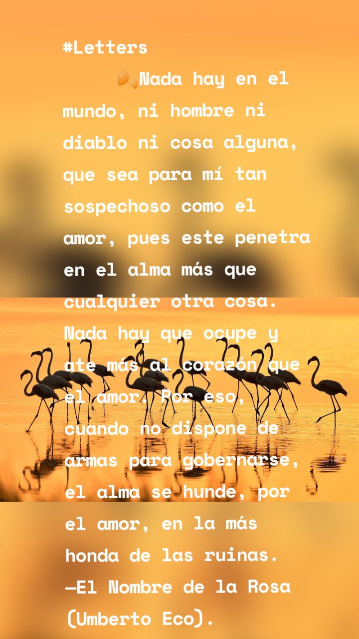 #Letters 
     🍂Nada hay en el mundo, ni hombre ni diablo ni cosa alguna, que sea para mí tan sospechoso como el amor, pues este penetra en el alma más que cualquier otra cosa. Nada hay que ocupe y ate más al corazón que el amor. Por eso, cuando no dispone de armas para gobernarse, el alma se hunde, por el amor, en la más honda de las ruinas.
—El Nombre de la Rosa (Umberto Eco).