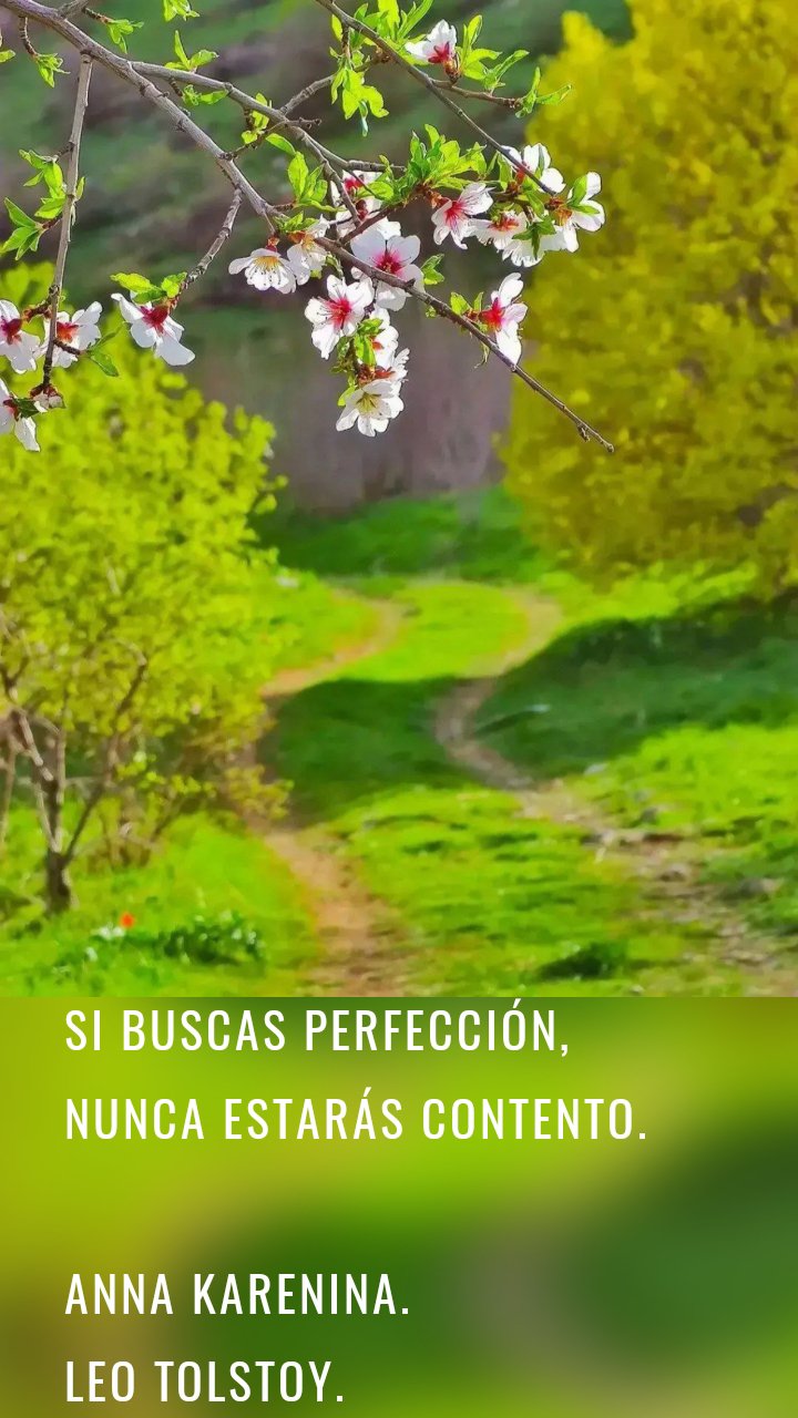 Si buscas perfección, nunca estarás contento.

Anna Karenina. 
Leo Tolstoy.